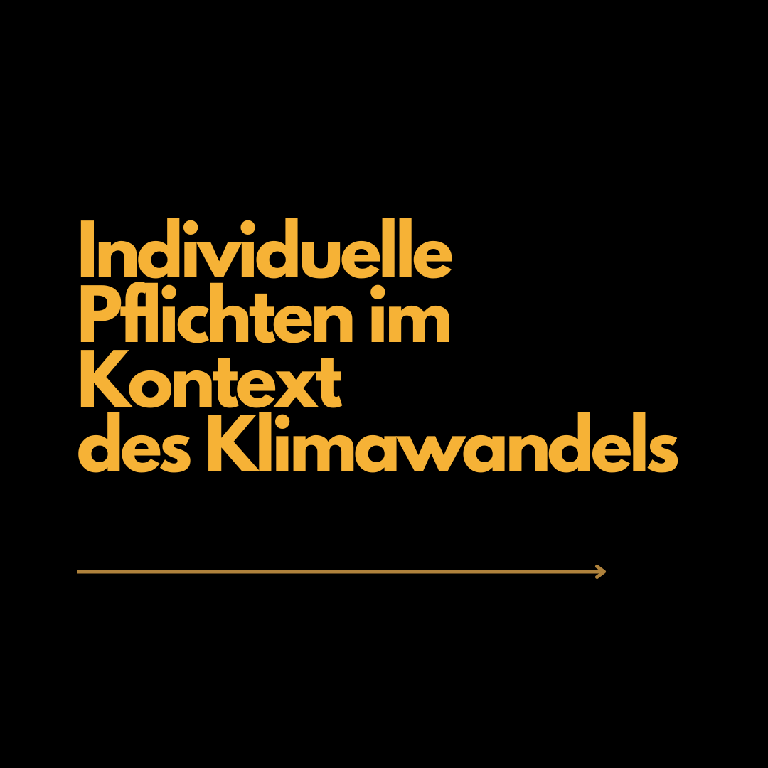 Individuelle Pflichten im Kontext des Klimawandels. Eine ethische Betrachtung des Individuums.